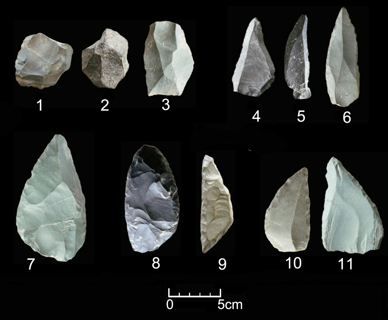 FileTypical_artifacts_of_the_TMP_techno-complex_found_in_the_Tongtiandong_Cave_site_of_Northwest_China.jpg