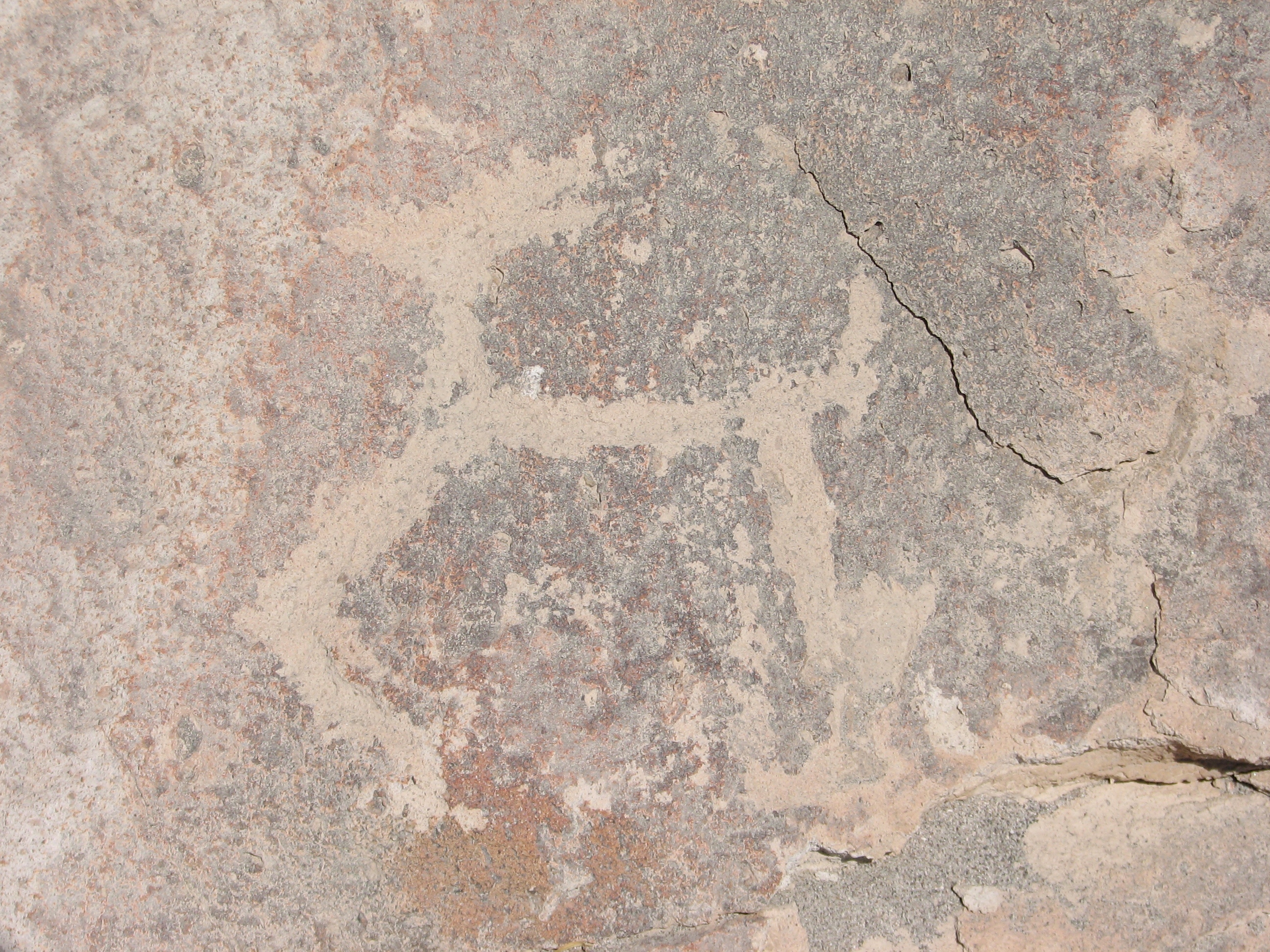 FileToro_Muerto_Archaeological_site_-_petroglyph_llama.jpg