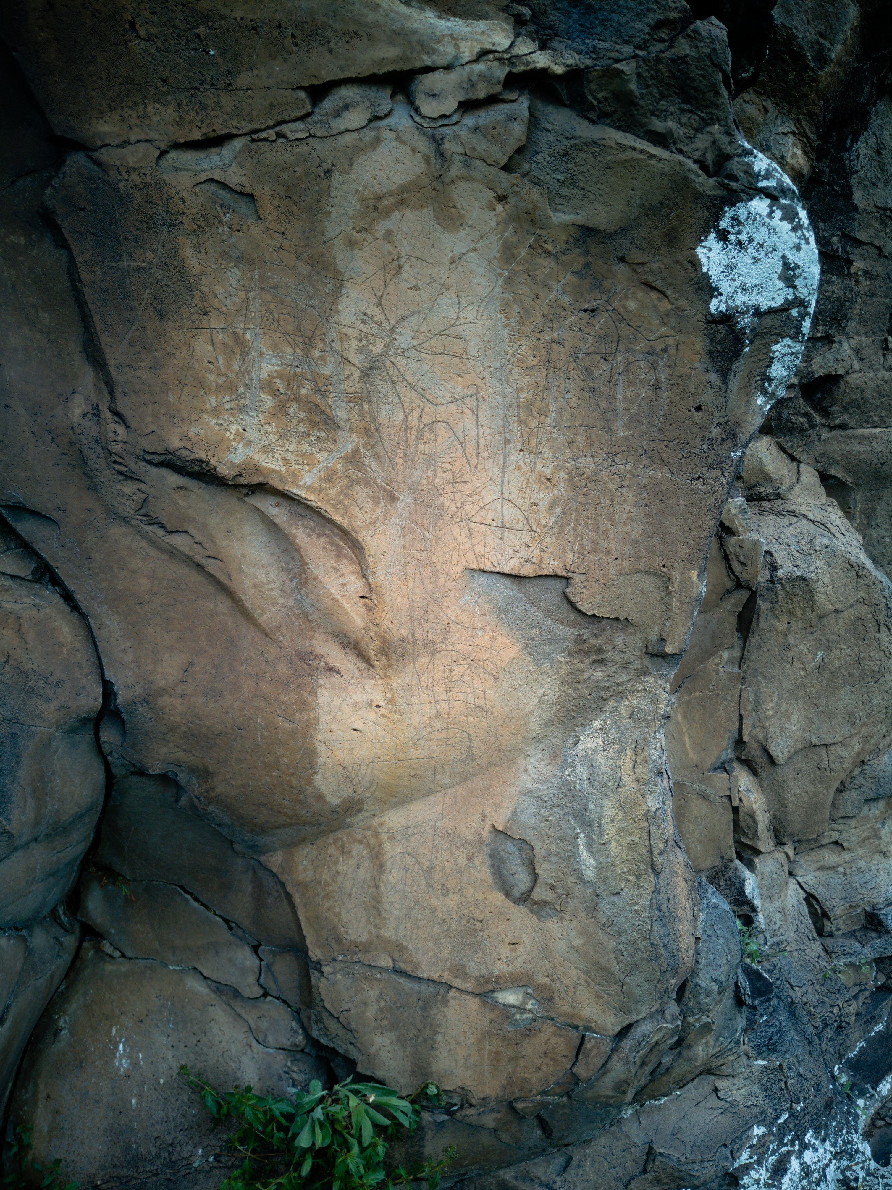Trialeti petroglyphs