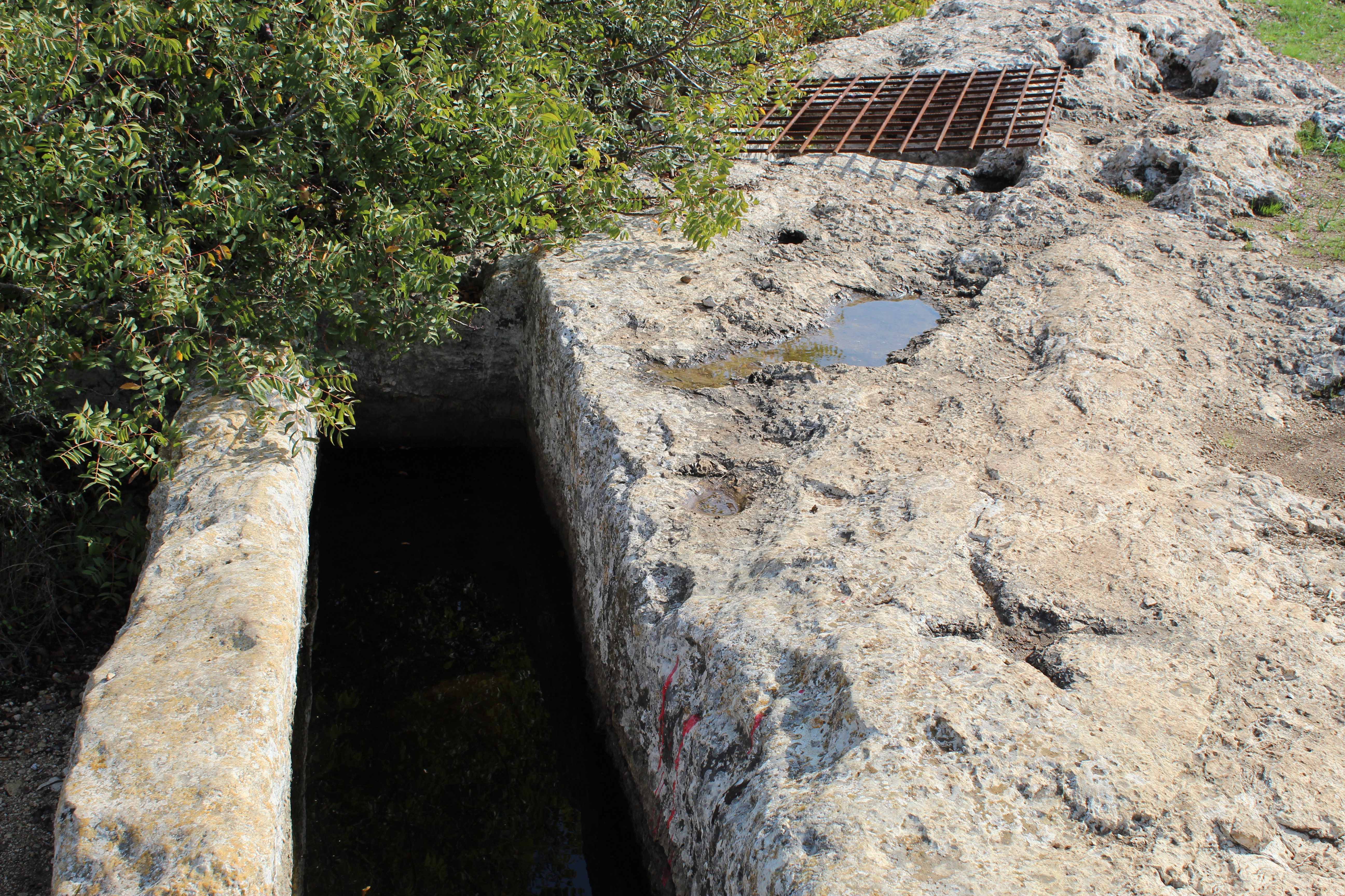 FileCarved_stone_in_Nahal_Sorek.jpg