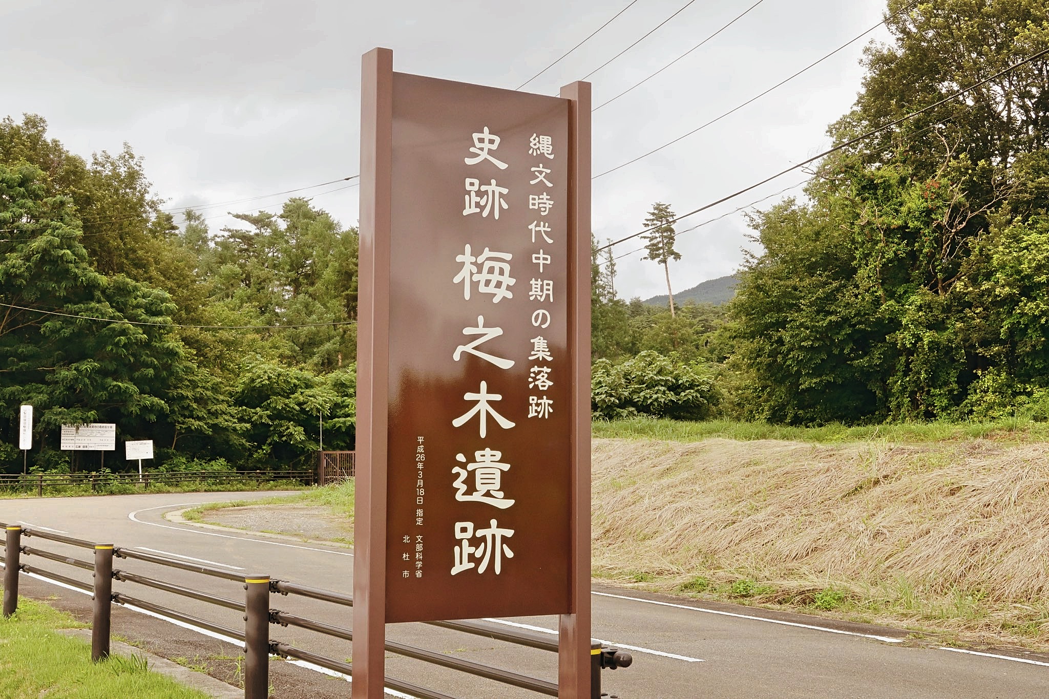FileUmenoki_Site.jpg