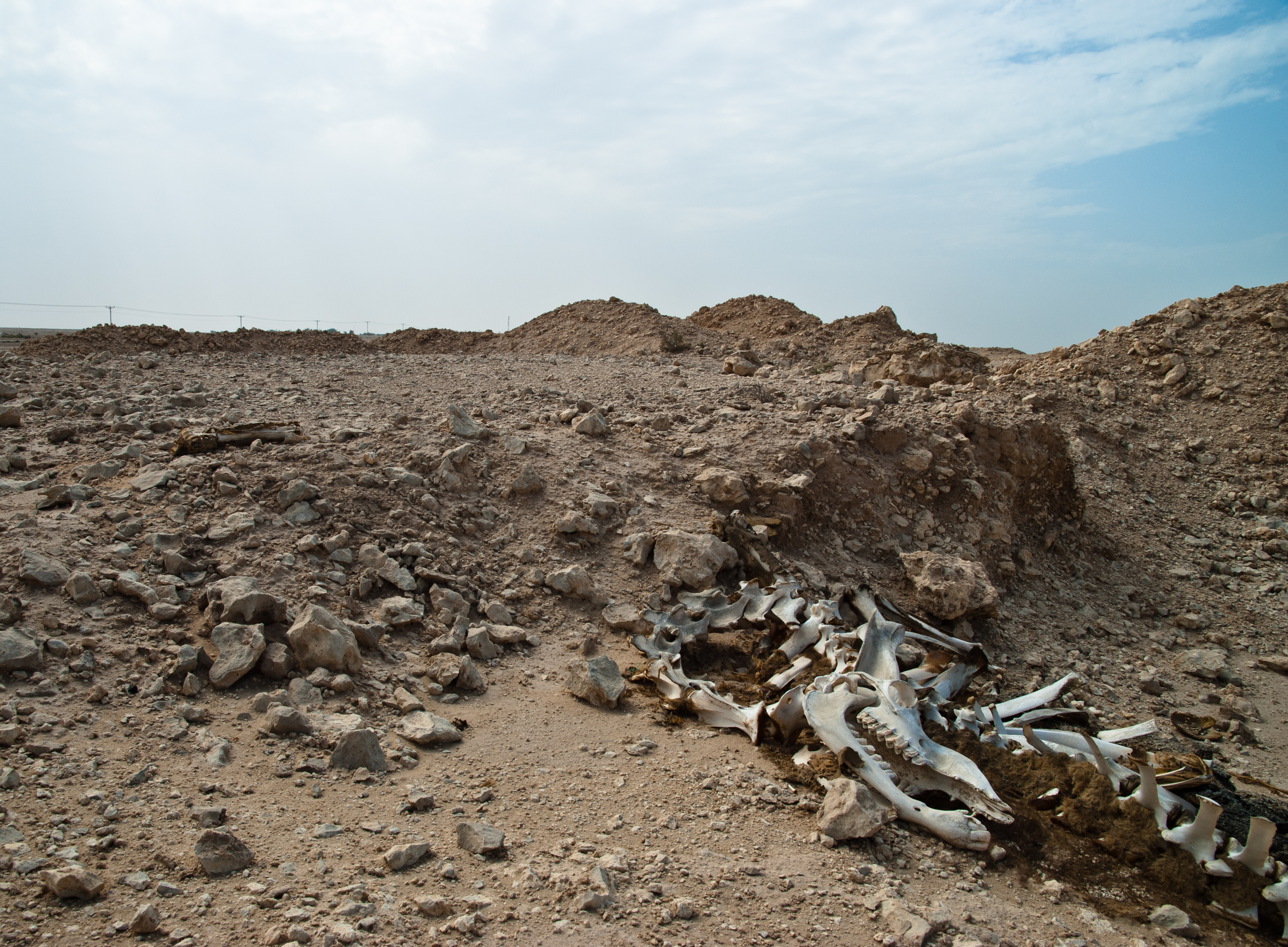 FileSmall_hillocks_and_rocky_desert_at_Umm_Al_Maa.jpg