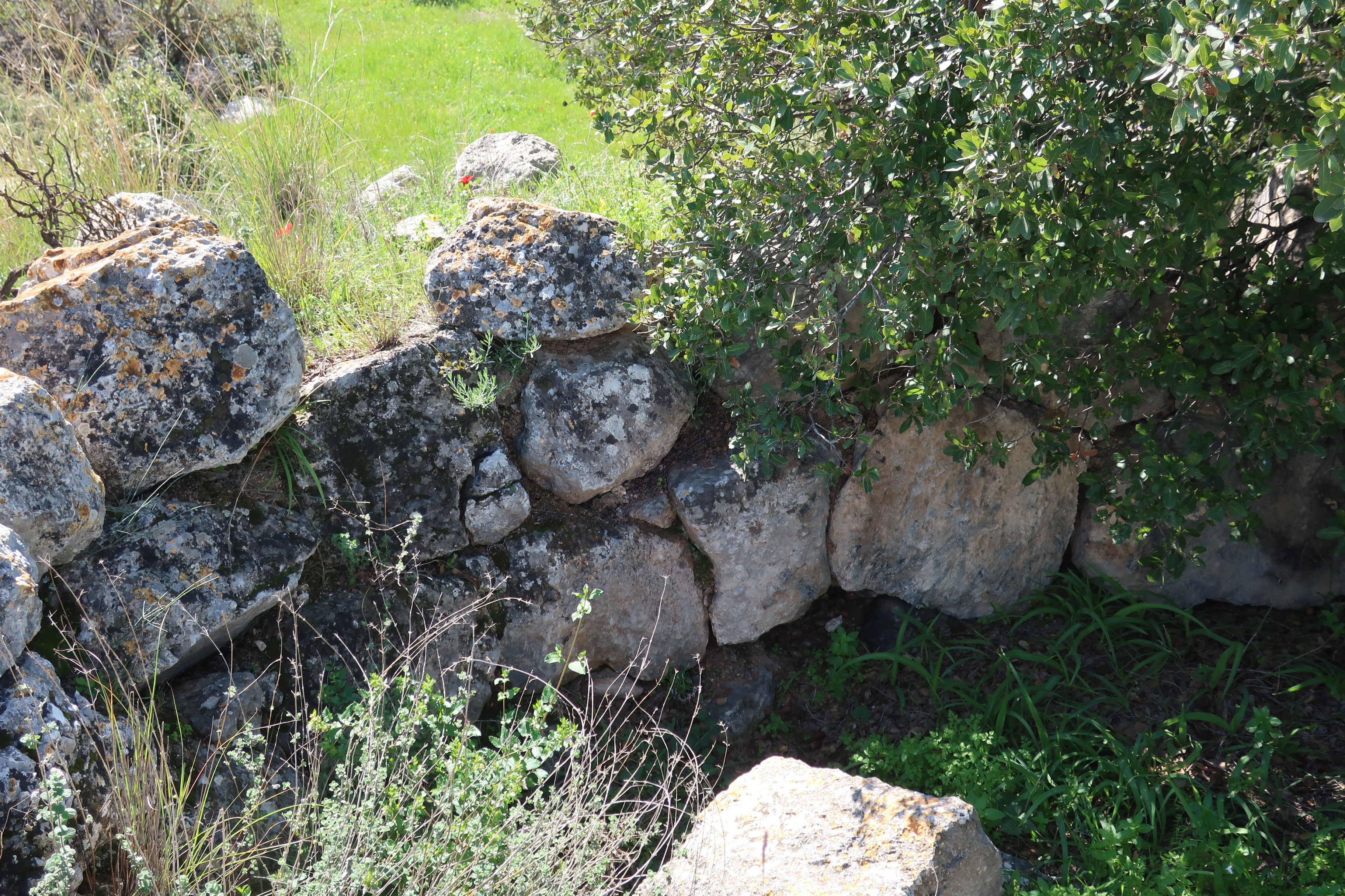 FileAncient_ruin_of_house_at_Umm_er-Rus.jpg