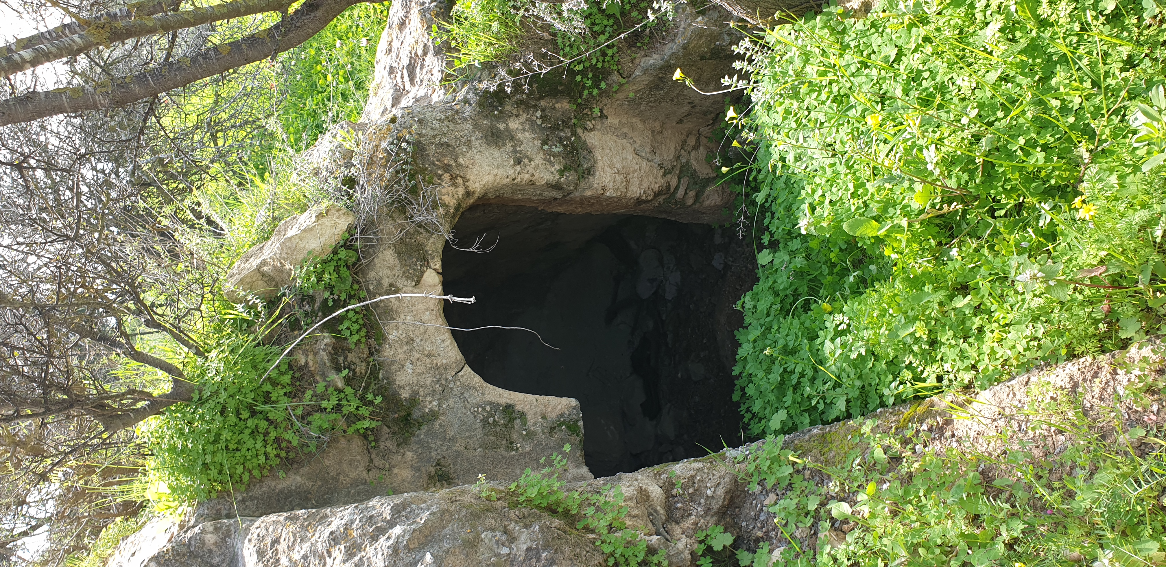 FileElaborated_mikveh_entrance.jpg