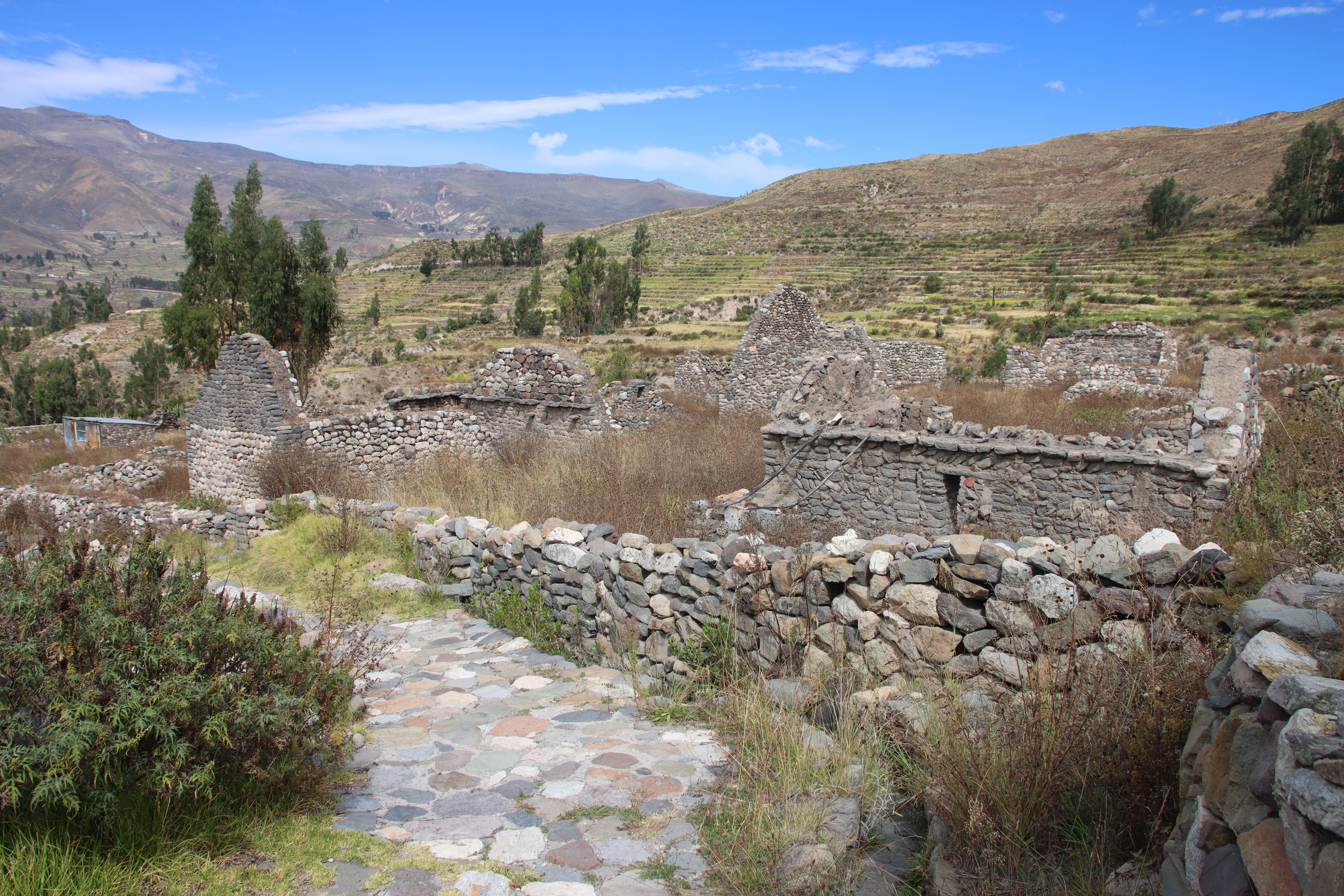 FileColca_Uyo-Uyo_2023_35.jpg