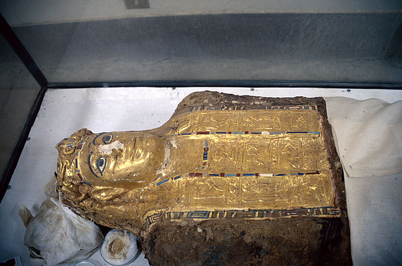 Valley of the Golden Mummies