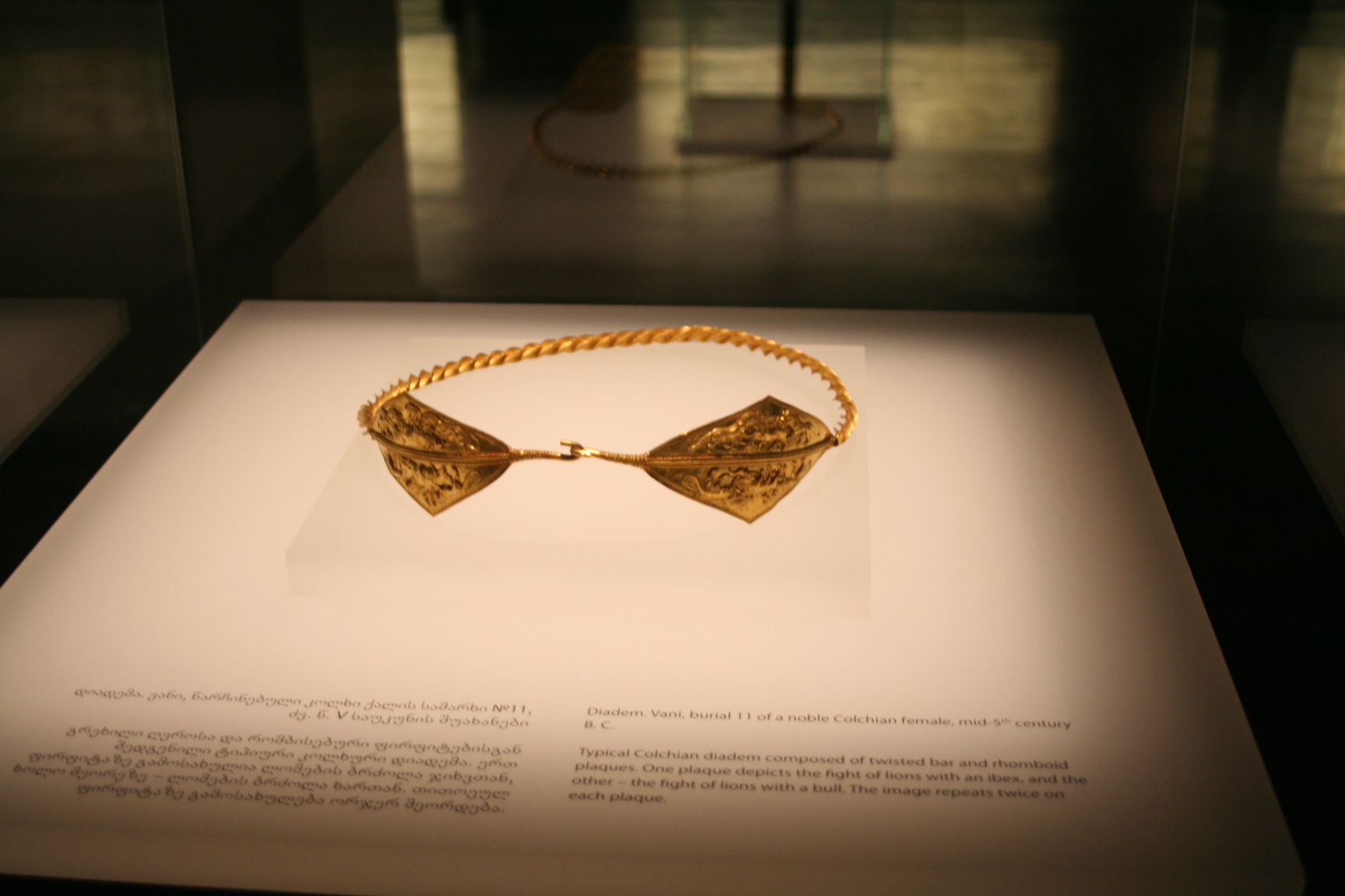 FileSimon_Janashia_Museum_of_Georgia_124.jpg