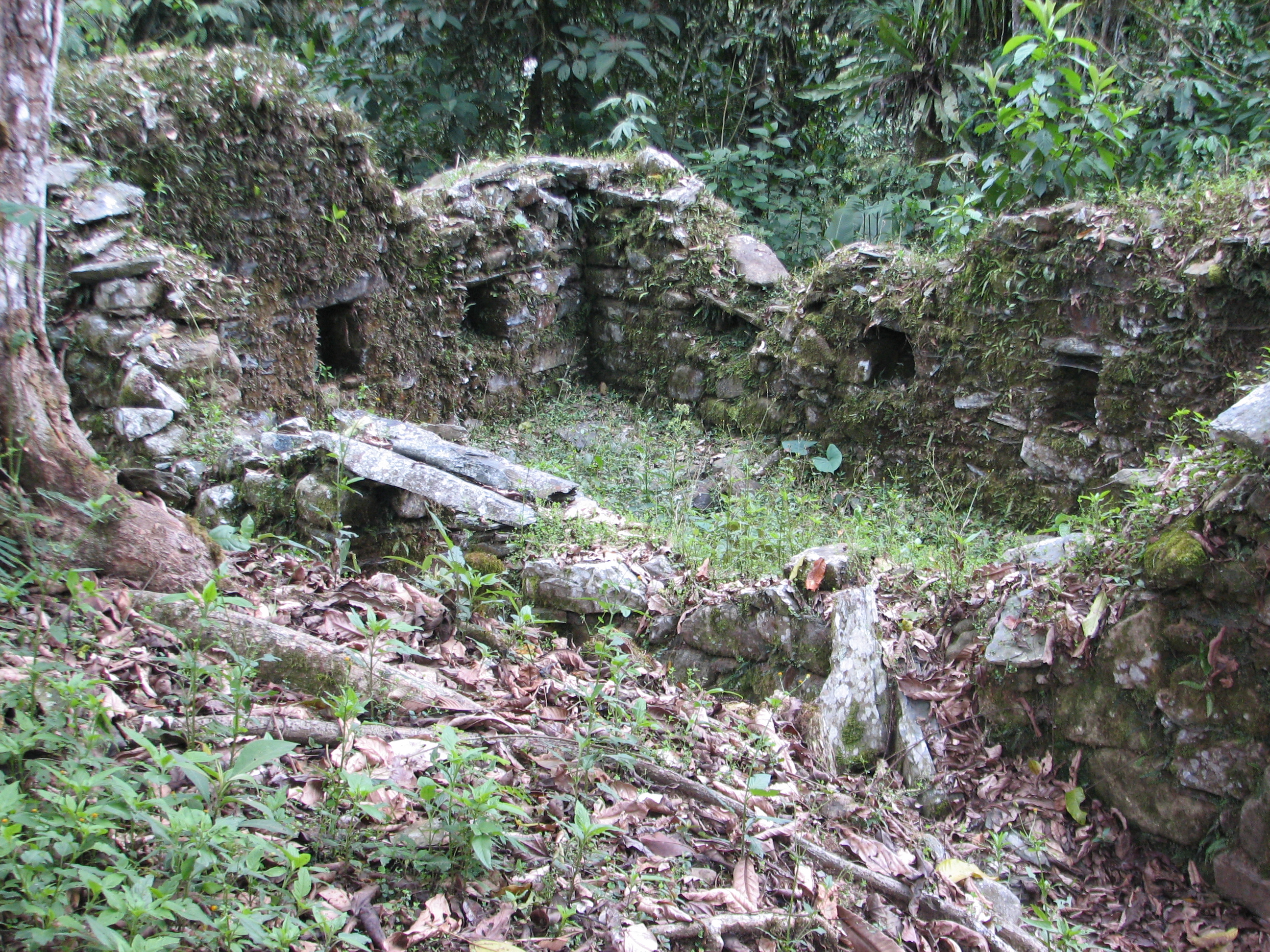 FileEspiritu_Pampa_Archaeological_site_-_overgrown_house.jpg