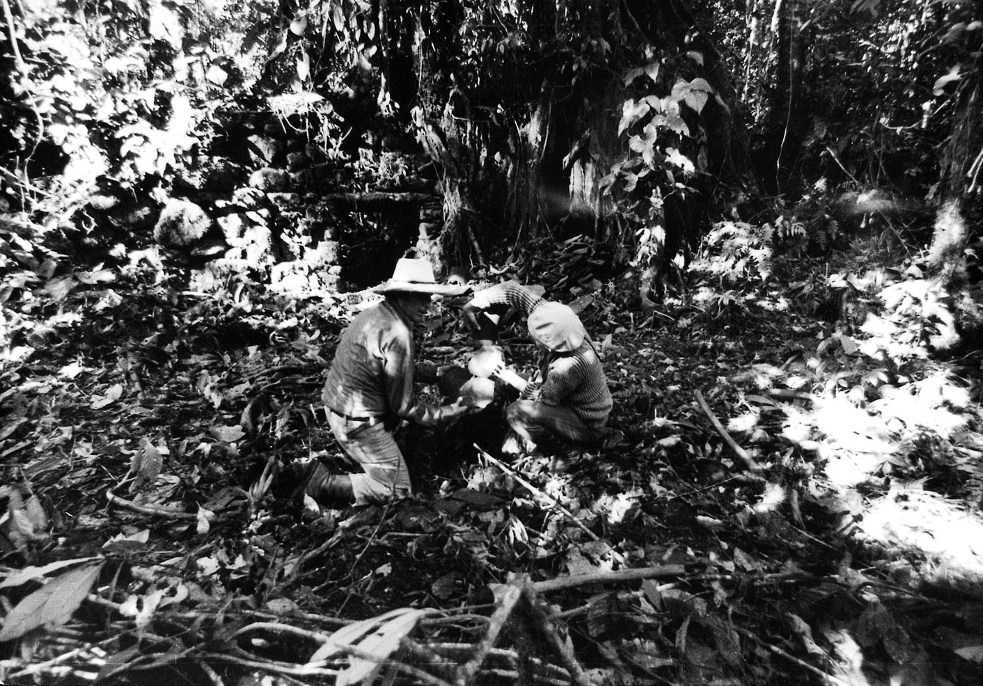 FileVilcabamba_01.jpg