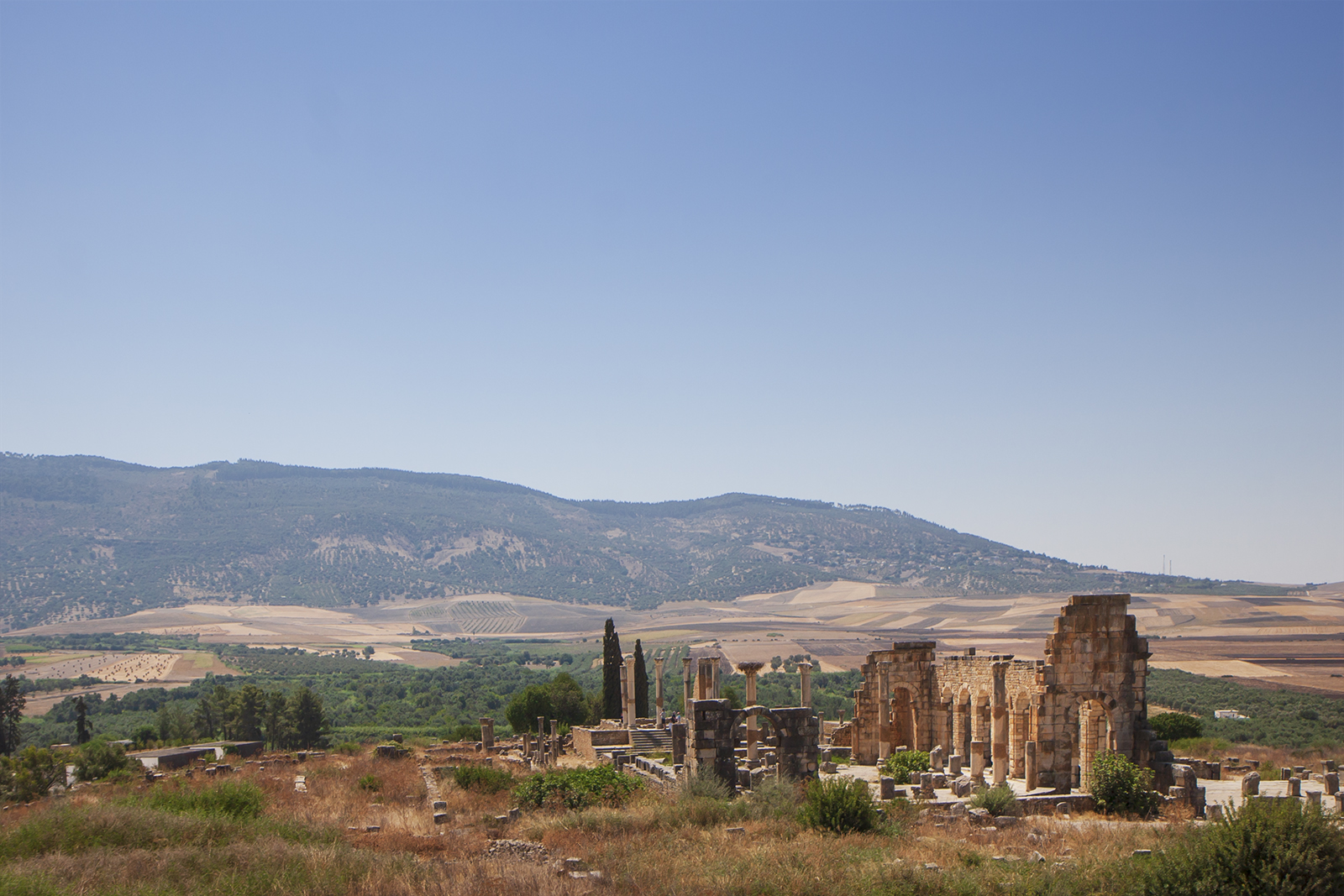 FileBasilica_and_Capitoline_Temple.jpg