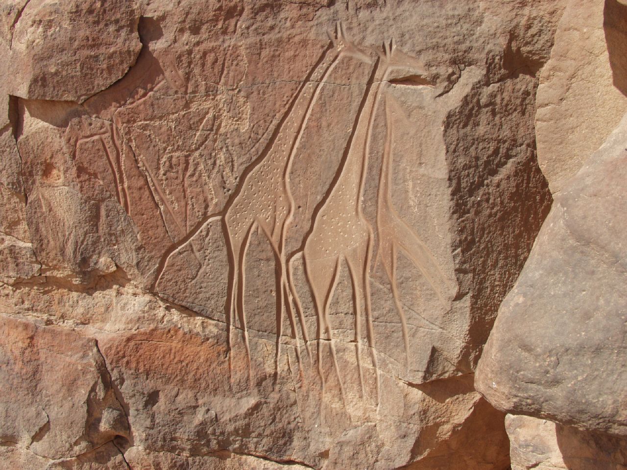 FileMathendous_giraffes.jpg