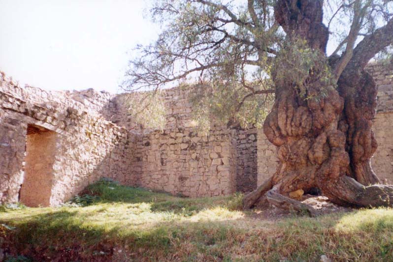 FileTemplo_de_Huarivilca.jpg