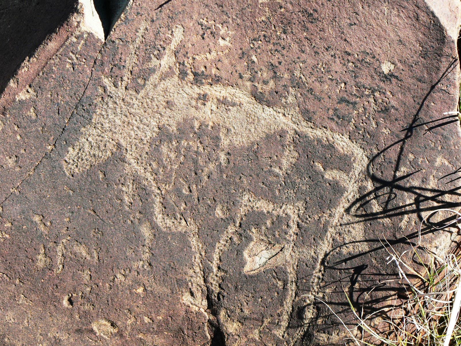 FileGemsbok_engraving_Wildebeest_Kuil_Kimberley_South_Africa.JPG