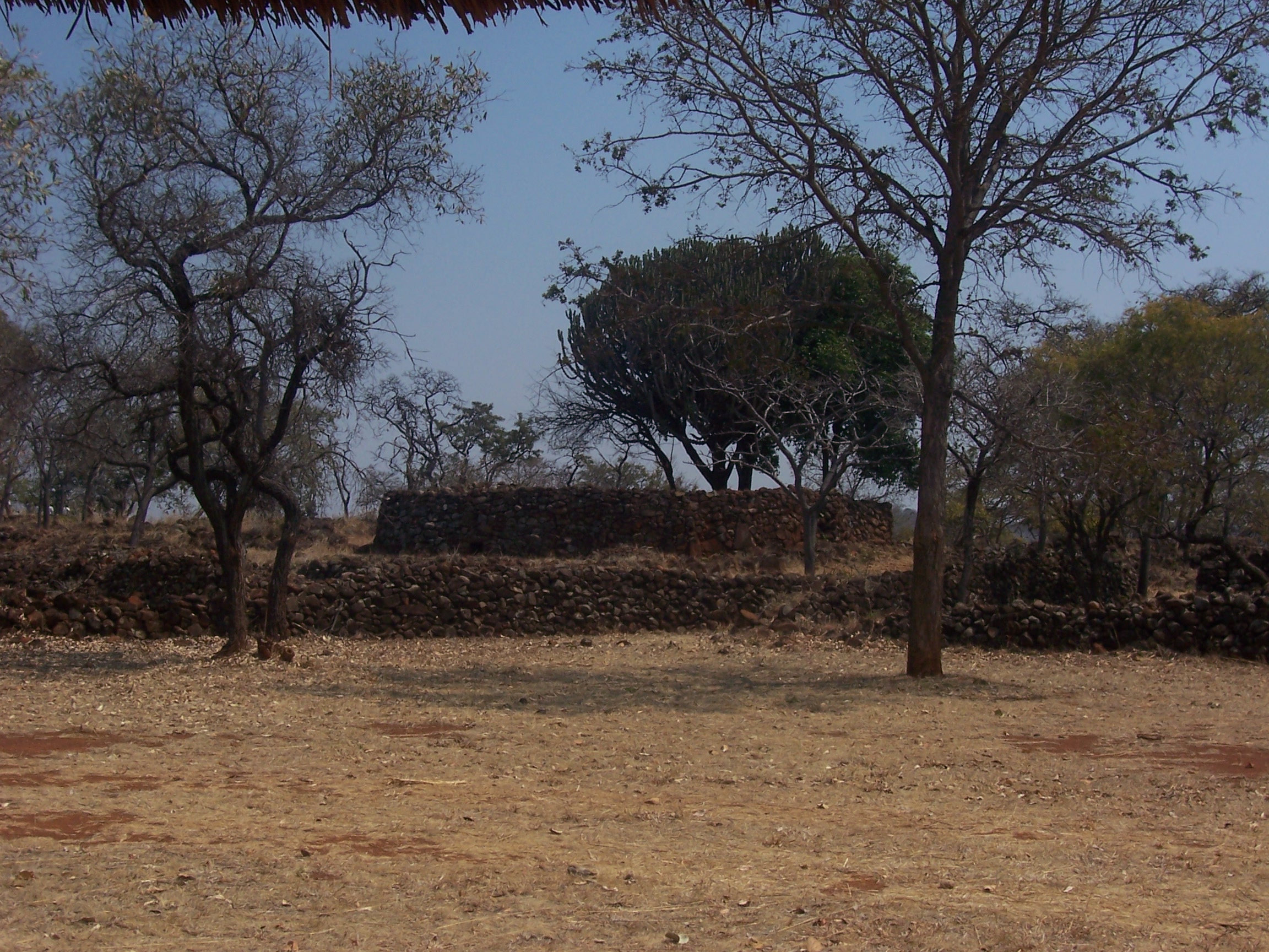 FileZiwa_enclosure_trees.JPG